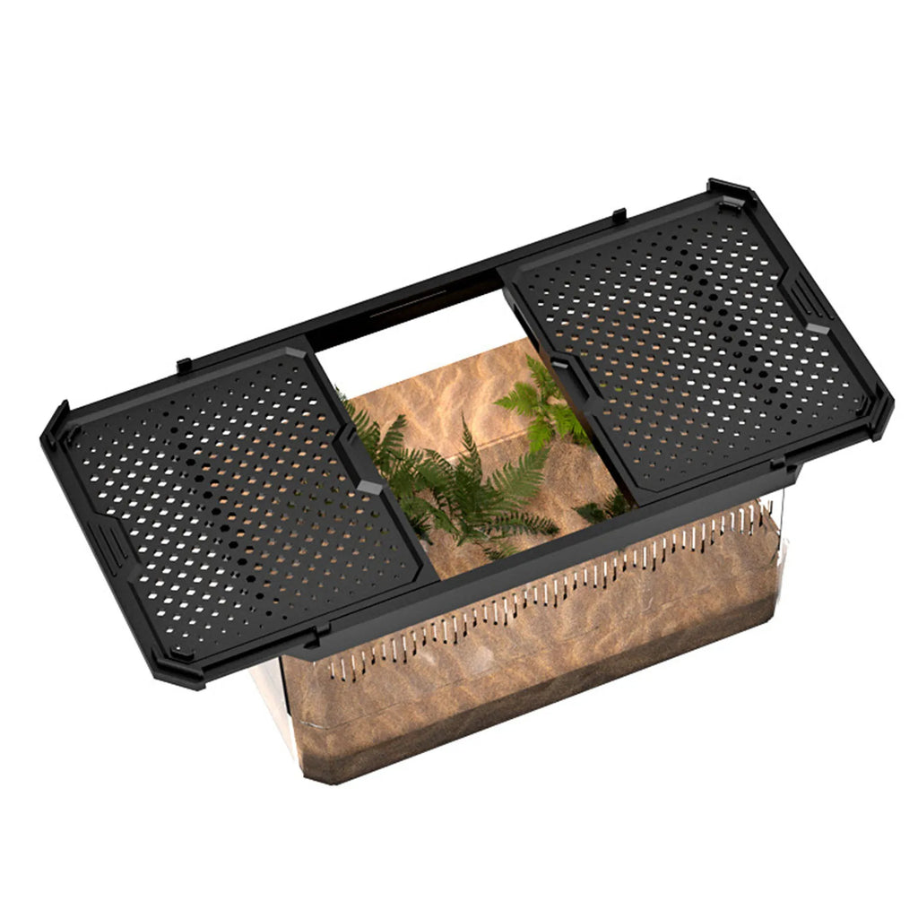 Enclos Tortue Quarantaine