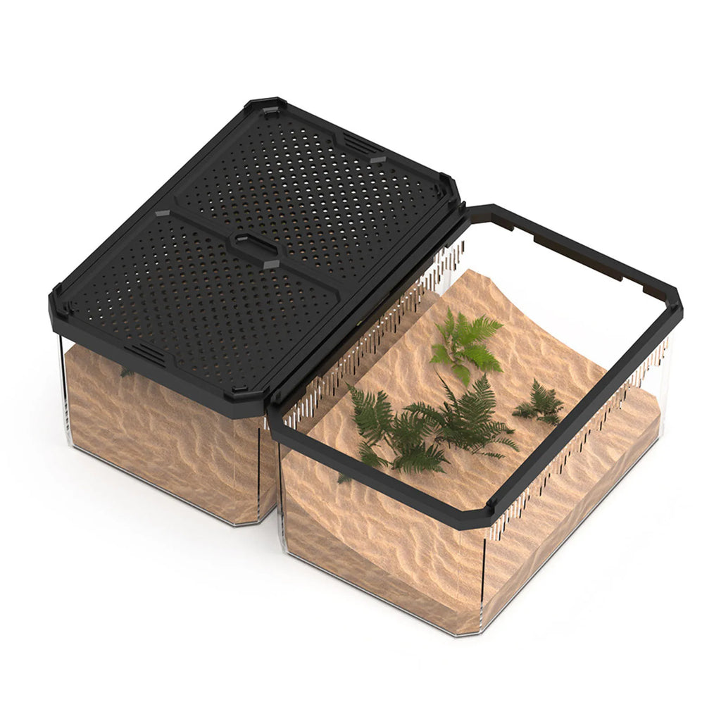 Enclos Tortue Quarantaine