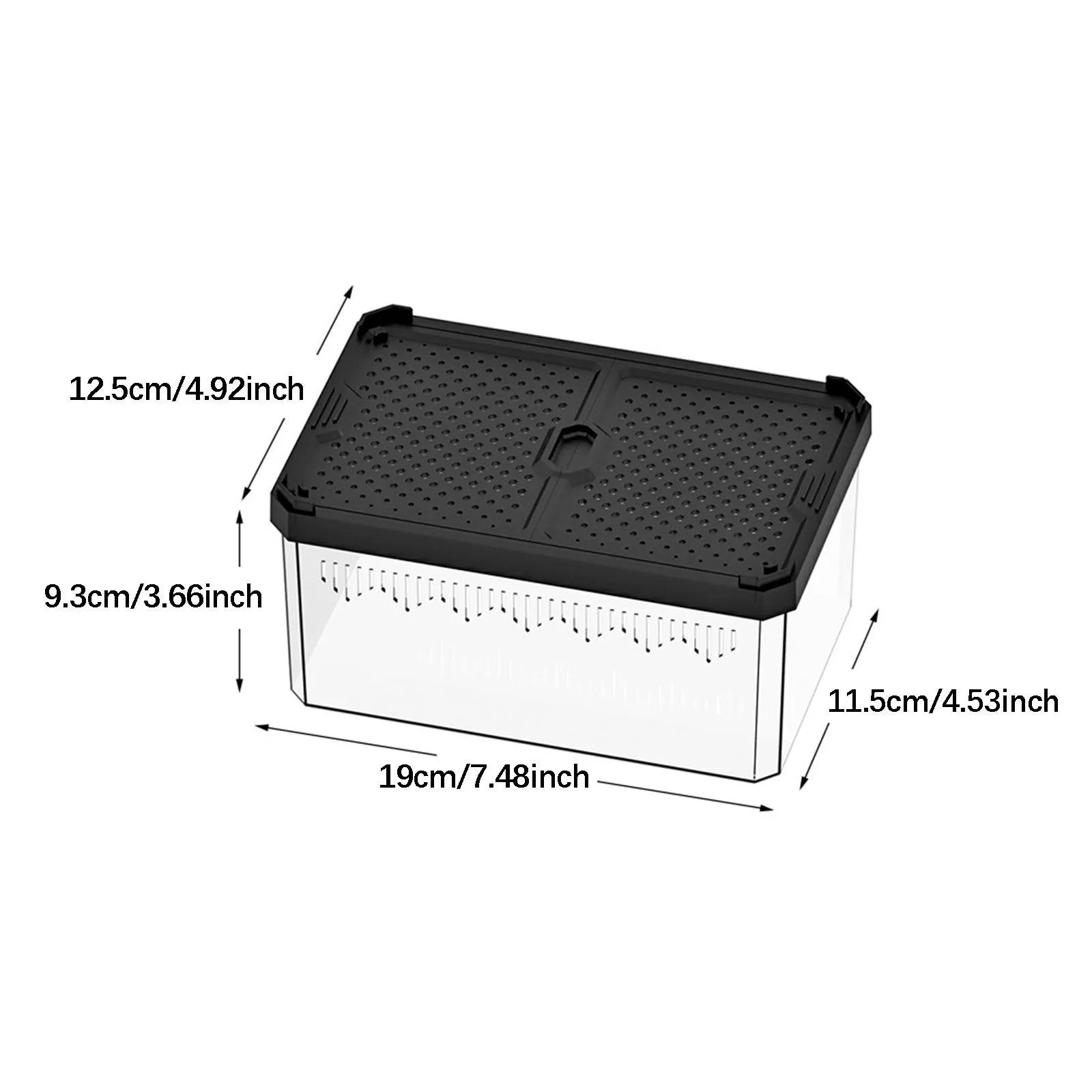 Enclos Tortue Quarantaine