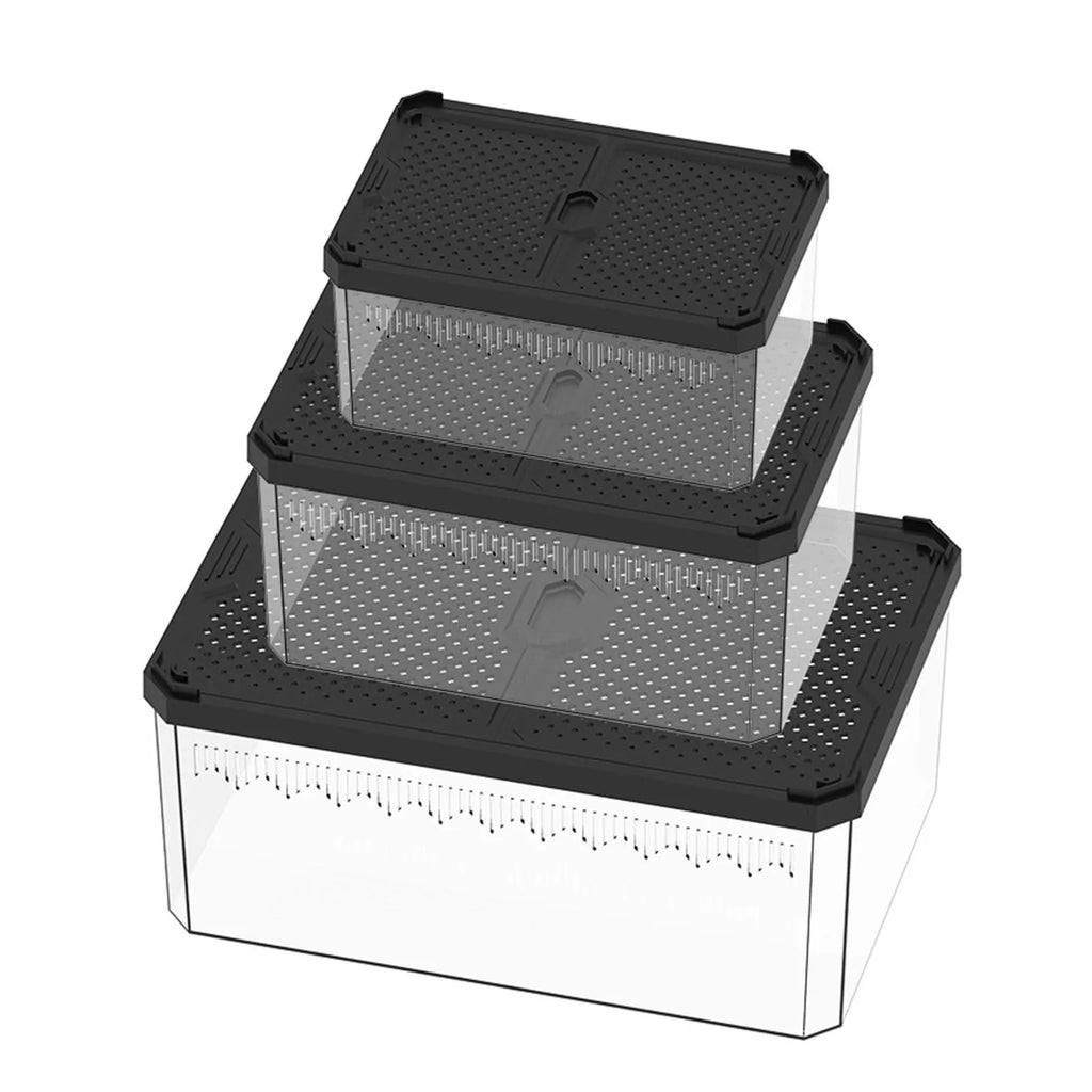 Enclos Tortue Quarantaine