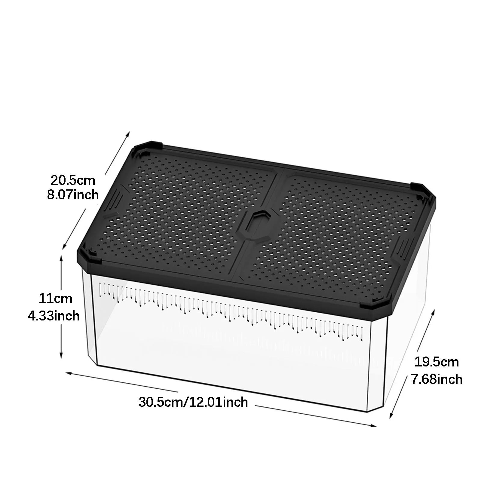 Enclos Tortue Quarantaine