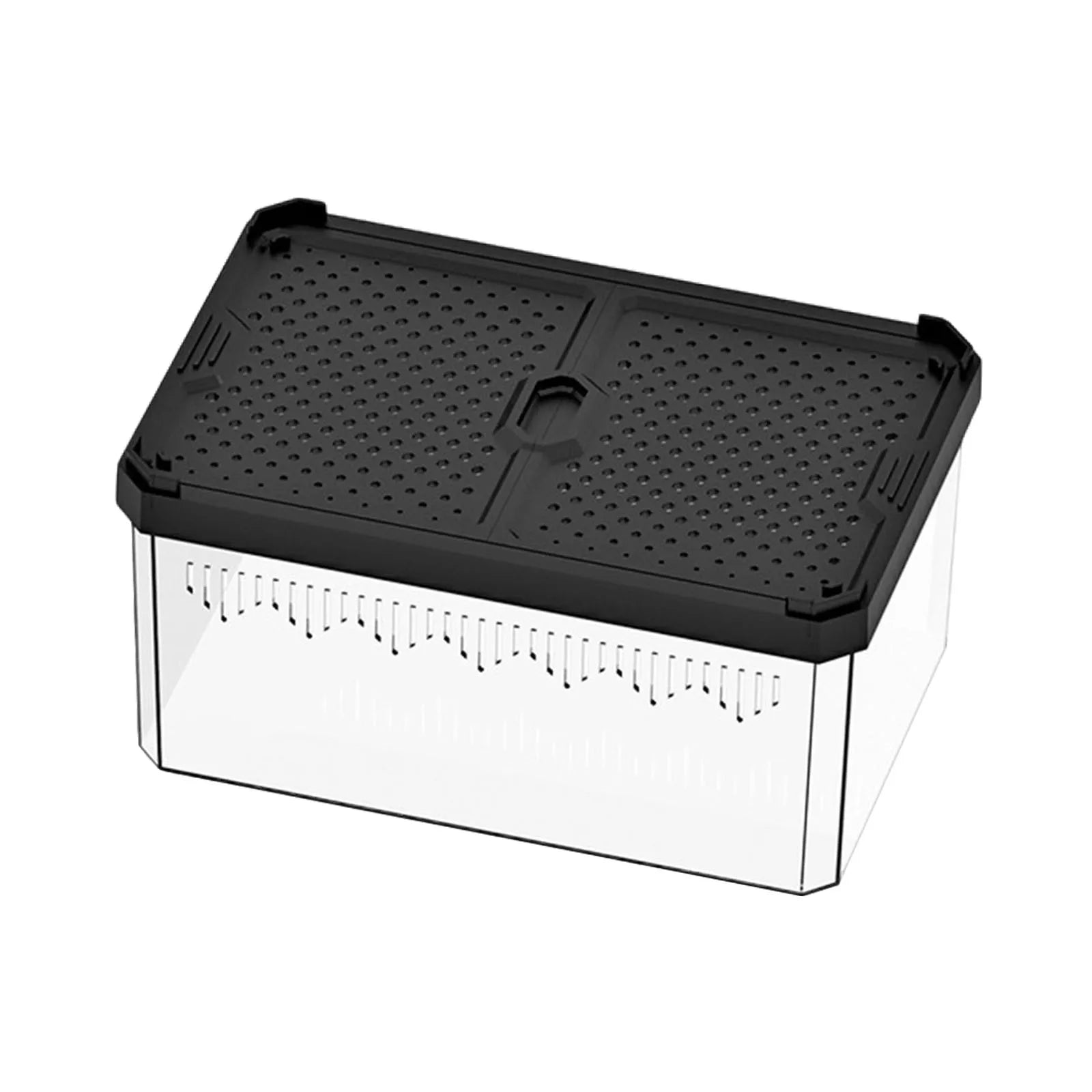 Enclos Tortue Quarantaine