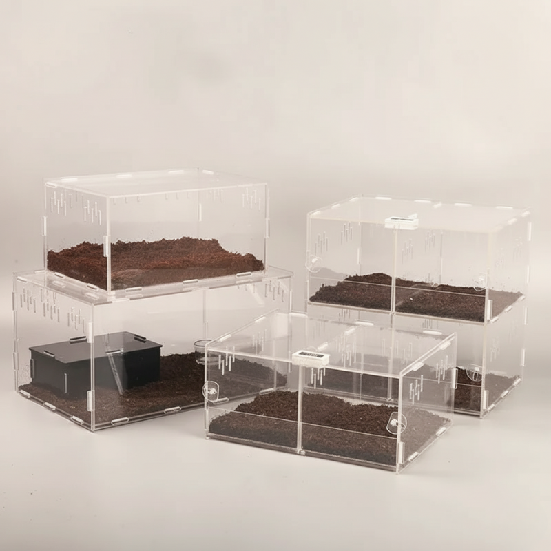 Enclos Tortue Avec Couvercle