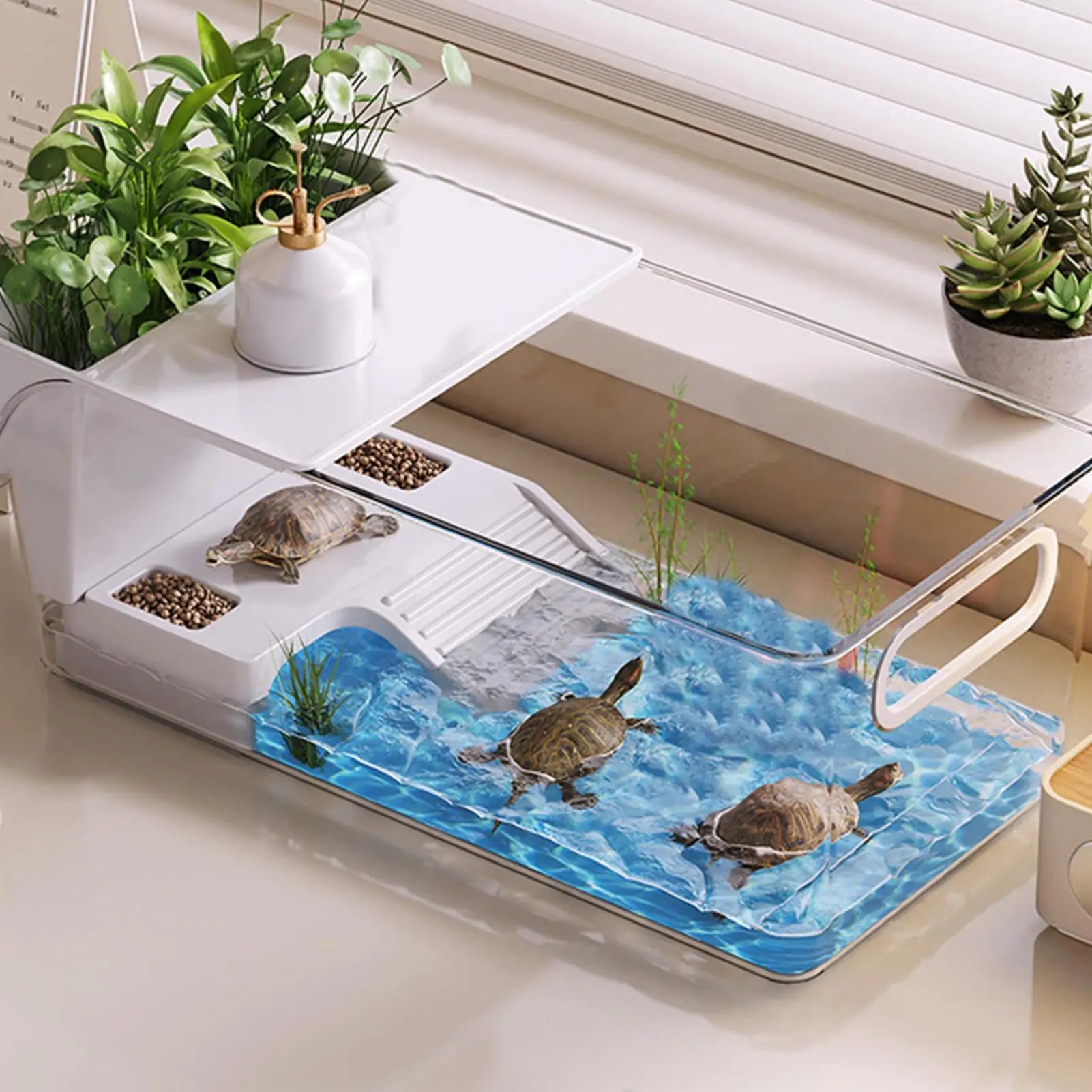 Enclos Tortue Temporaire