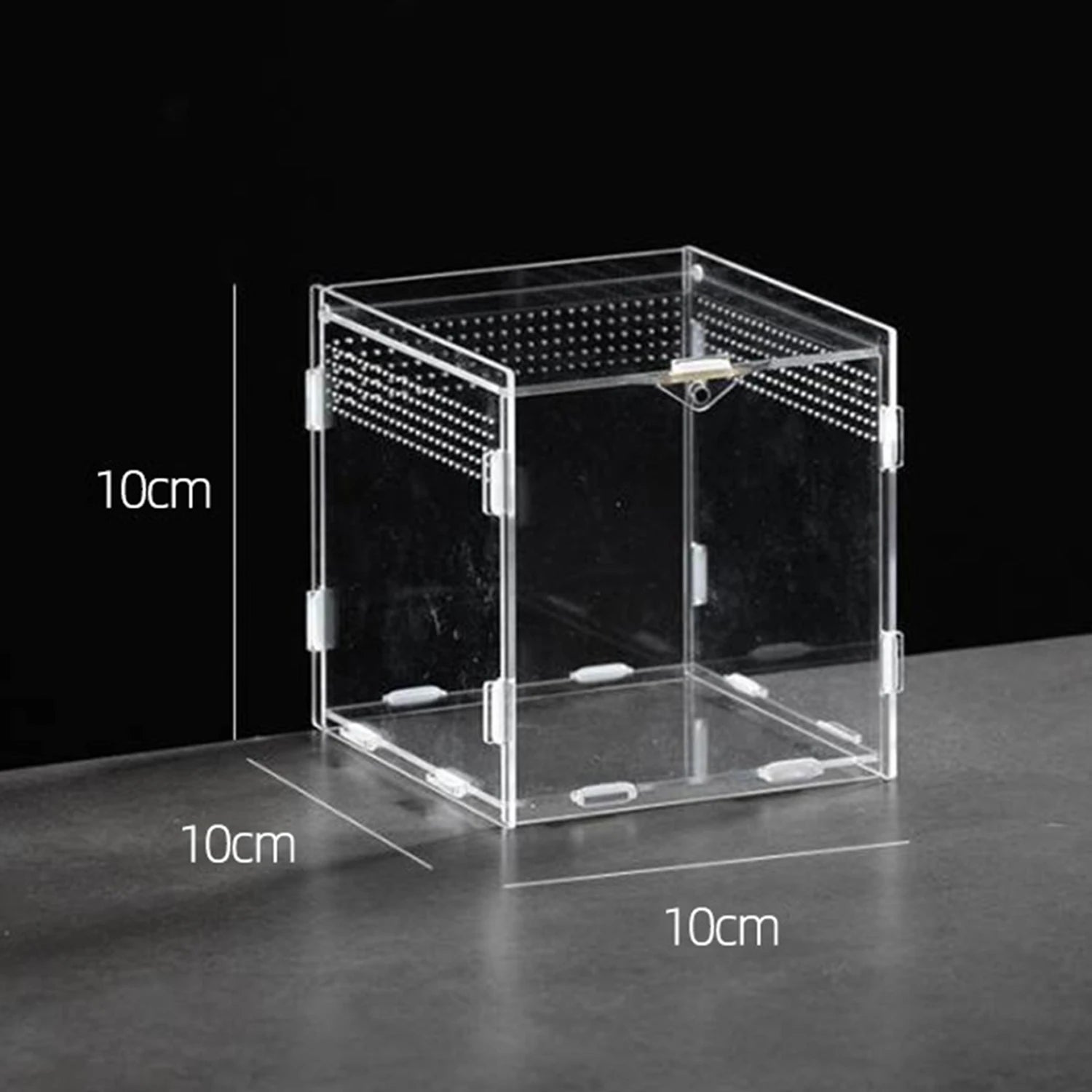 Enclos Tortue Juvénile