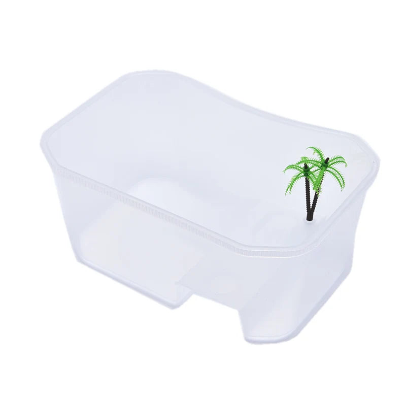 Enclos Tortue Extérieur Jardin