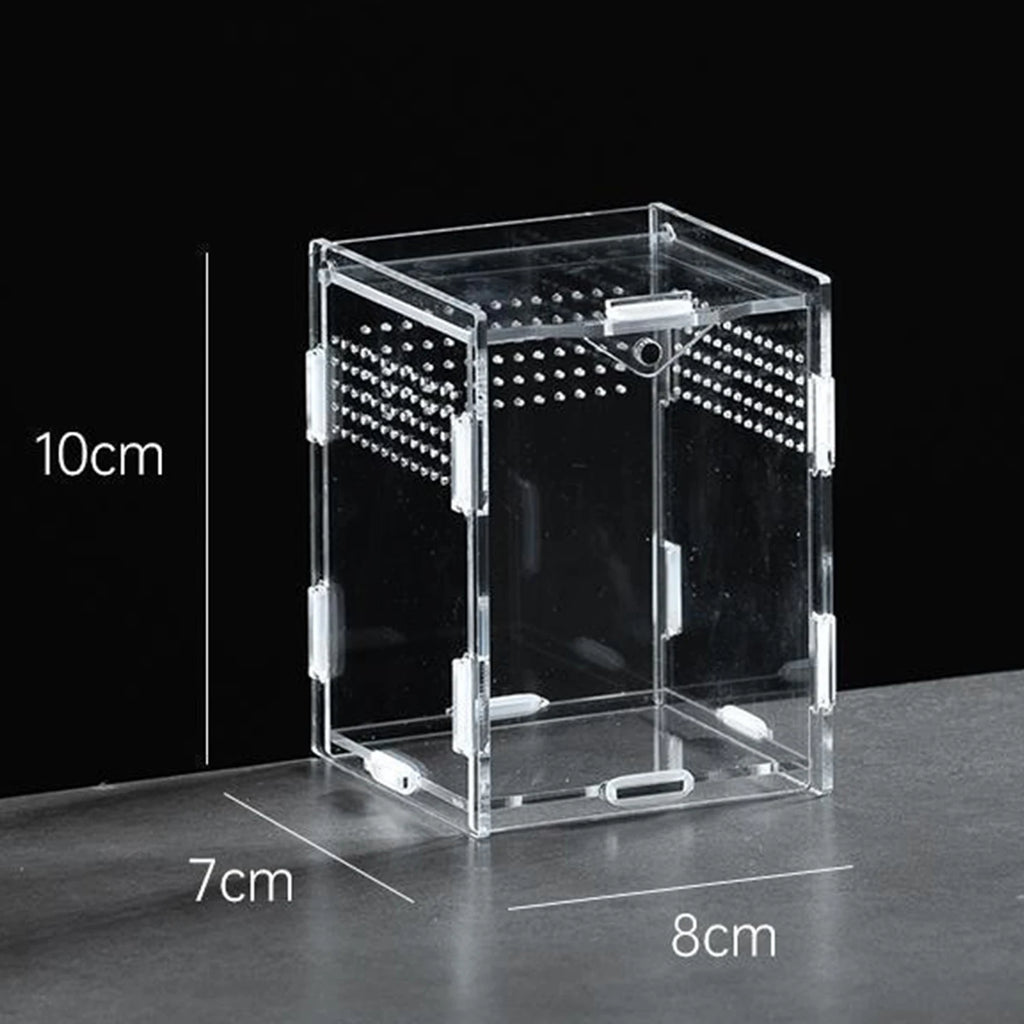 Enclos Tortue Juvénile