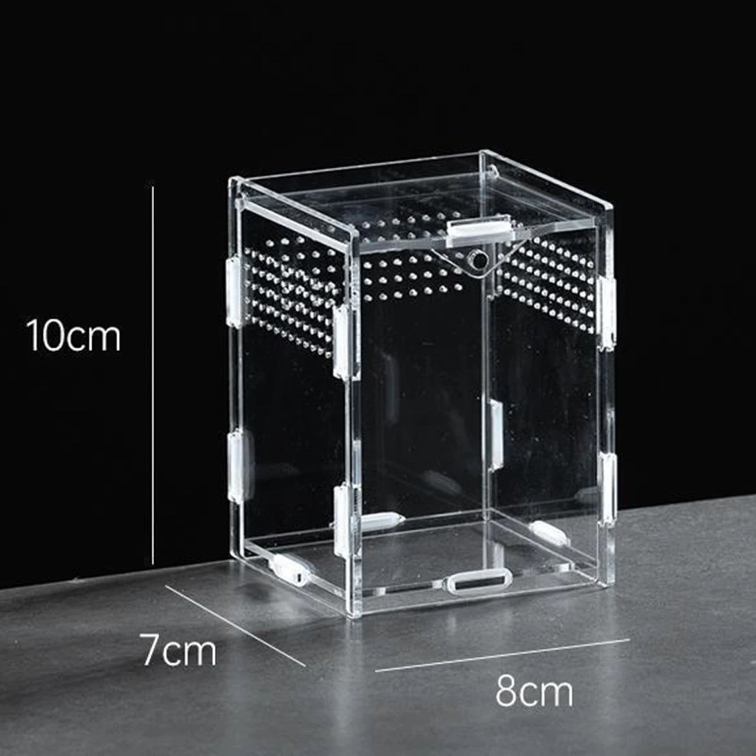 Enclos Tortue Juvénile