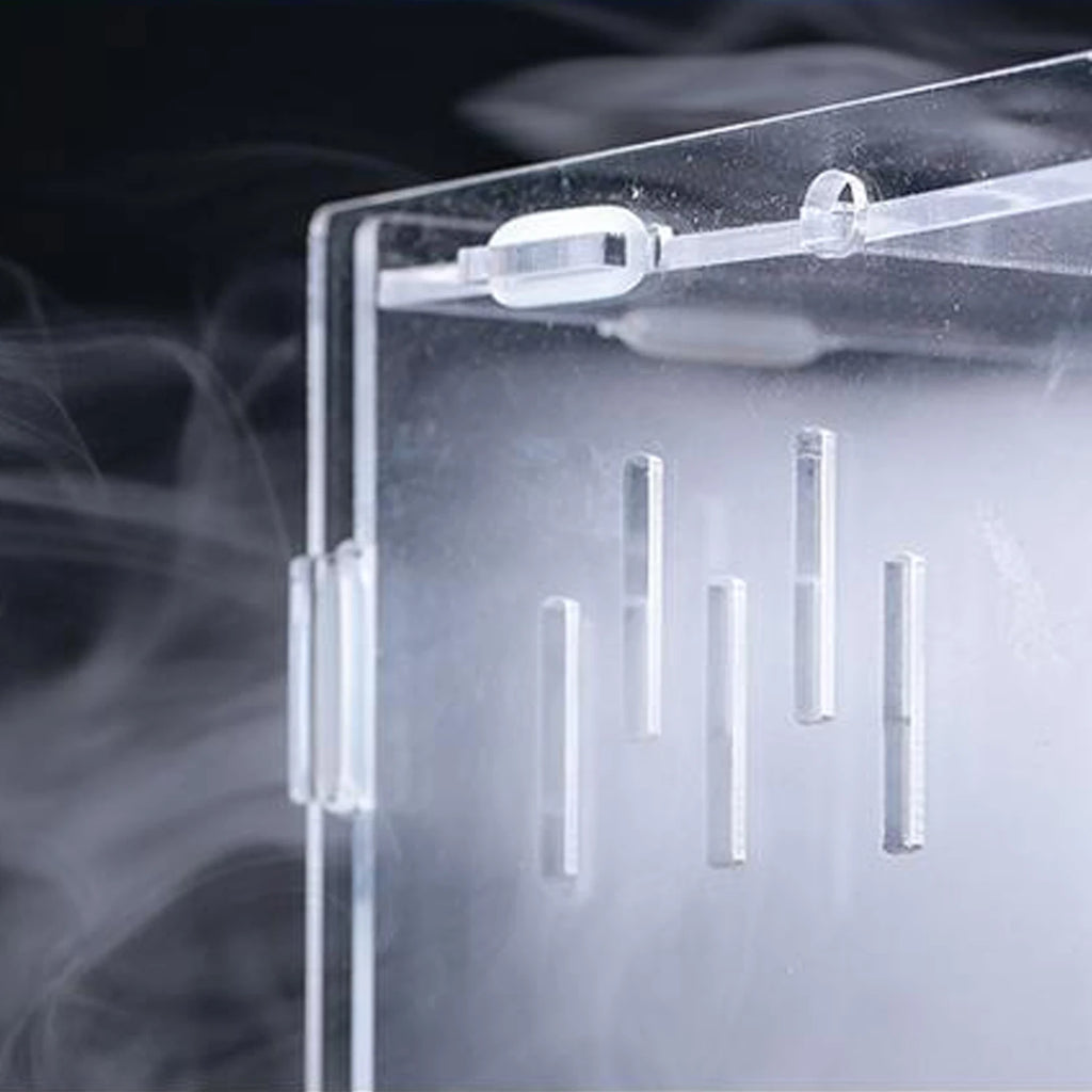 Enclos Tortue Juvénile