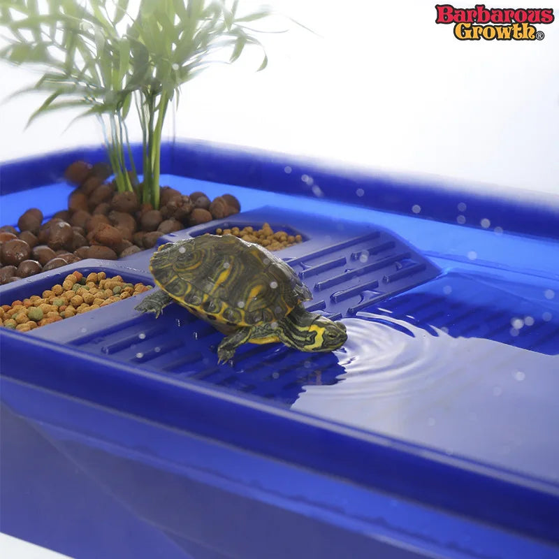 Enclos Tortue Pour Jardin