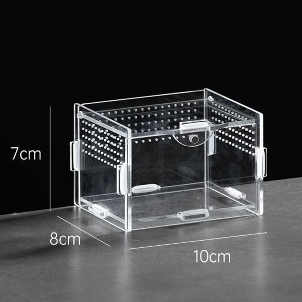 Enclos Tortue Juvénile