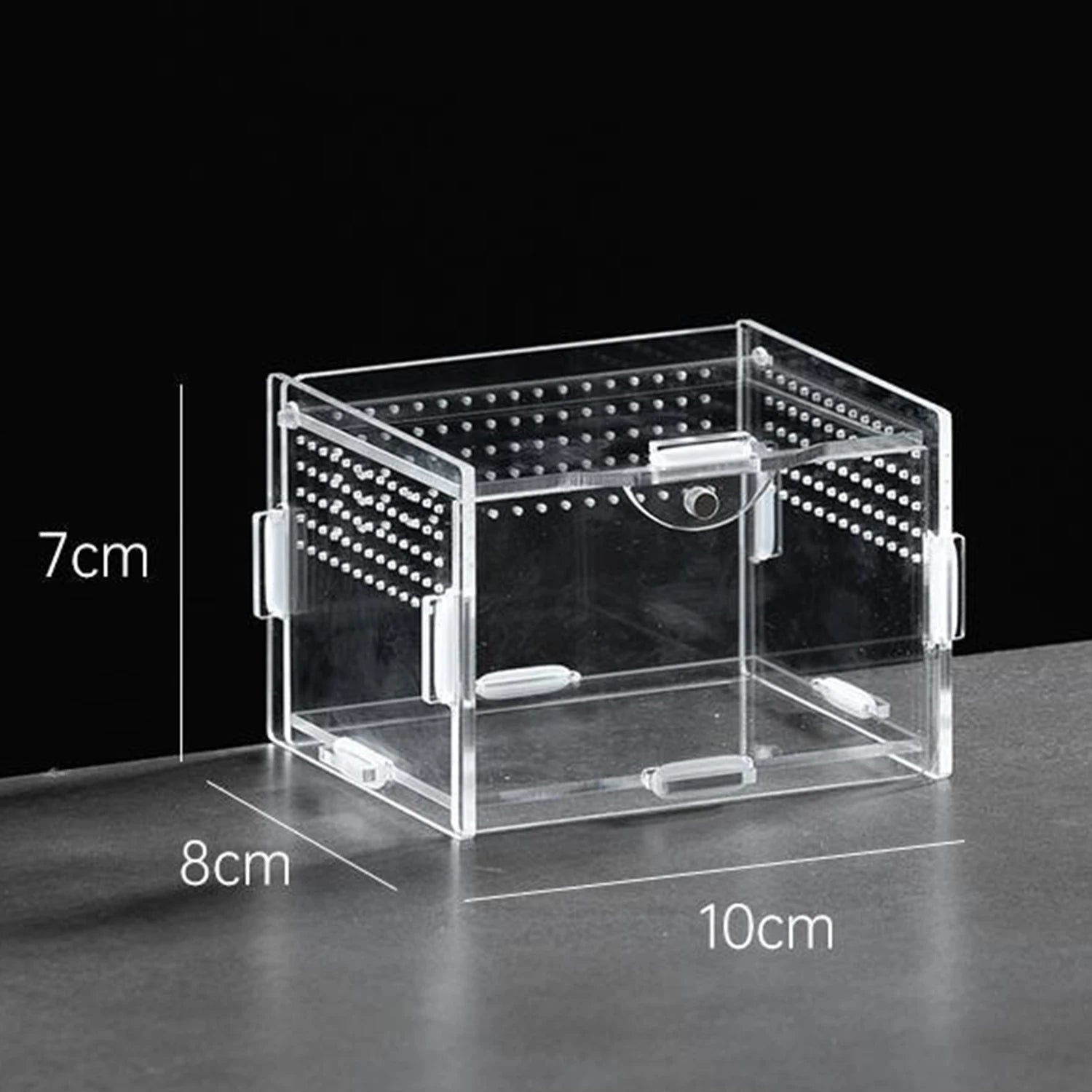 Enclos Tortue Juvénile