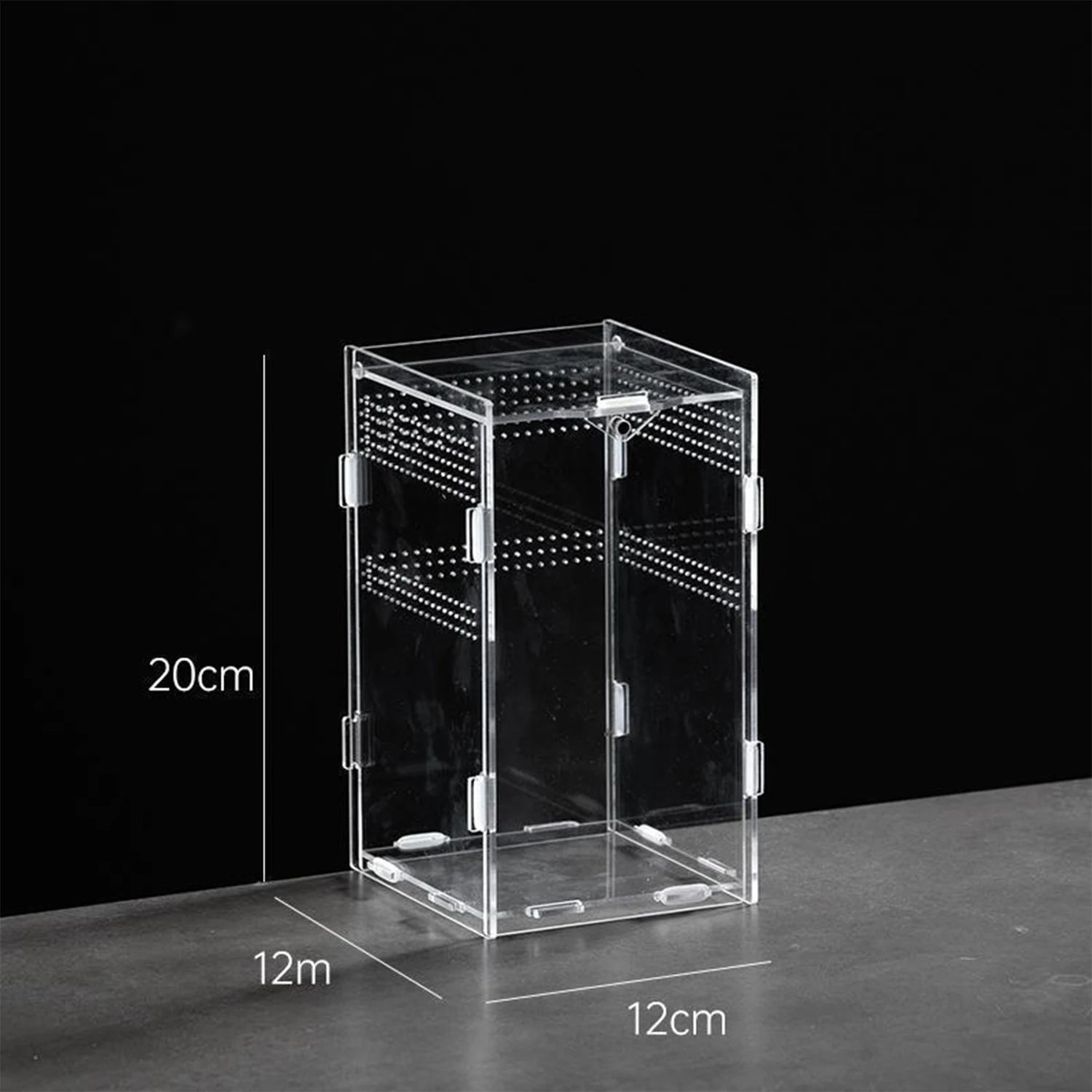 Enclos Tortue Juvénile