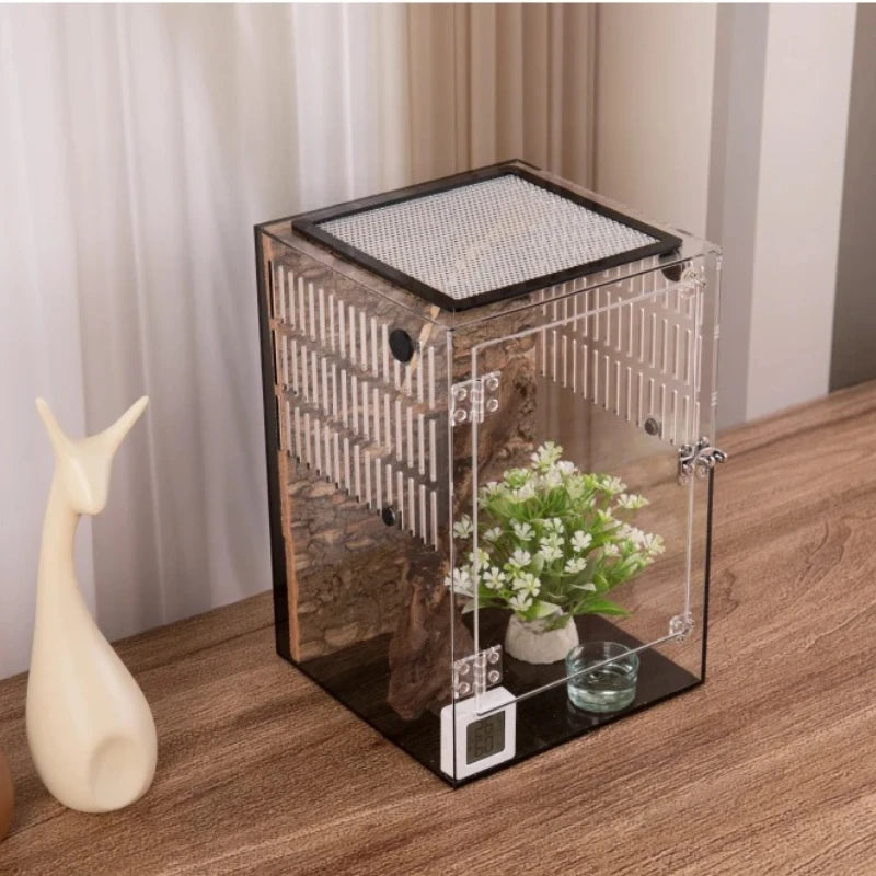 Enclos Pour Jeune Tortue