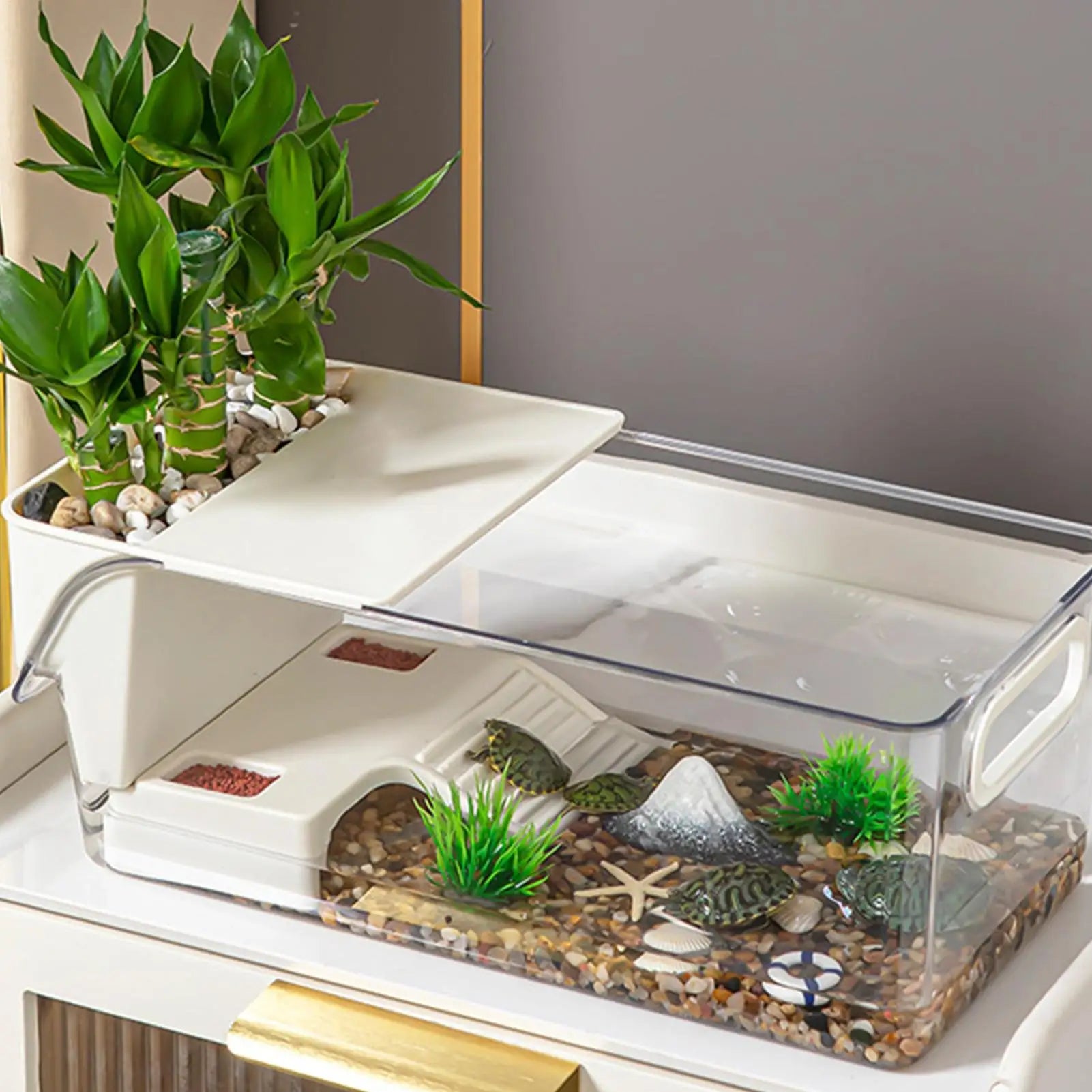 Enclos Tortue Temporaire