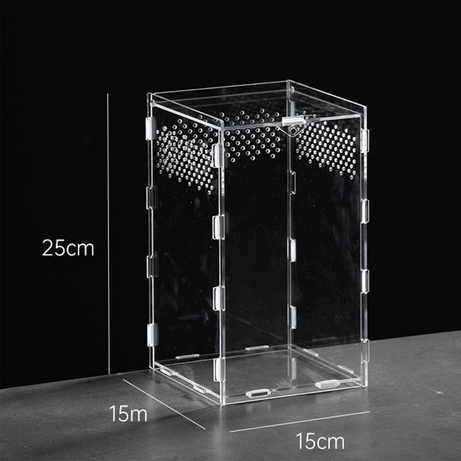 Enclos Tortue Juvénile