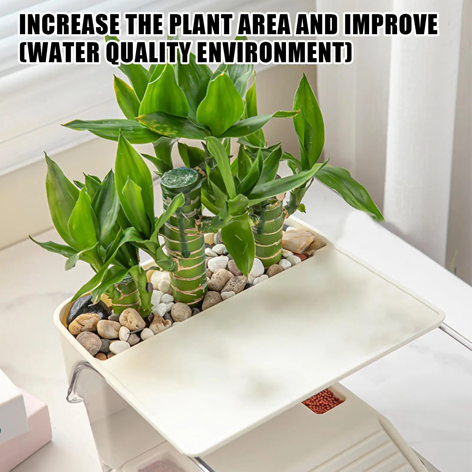 Enclos Tortue Temporaire