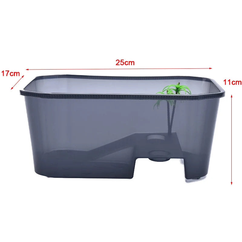 Enclos Tortue Extérieur Jardin