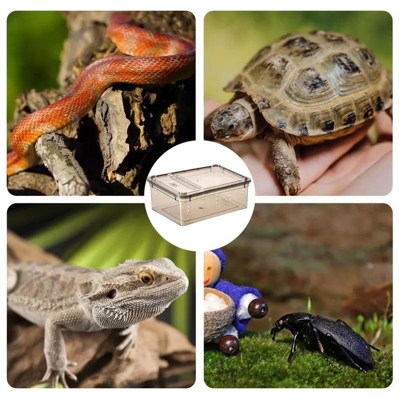 Enclos Tortue Petit Format