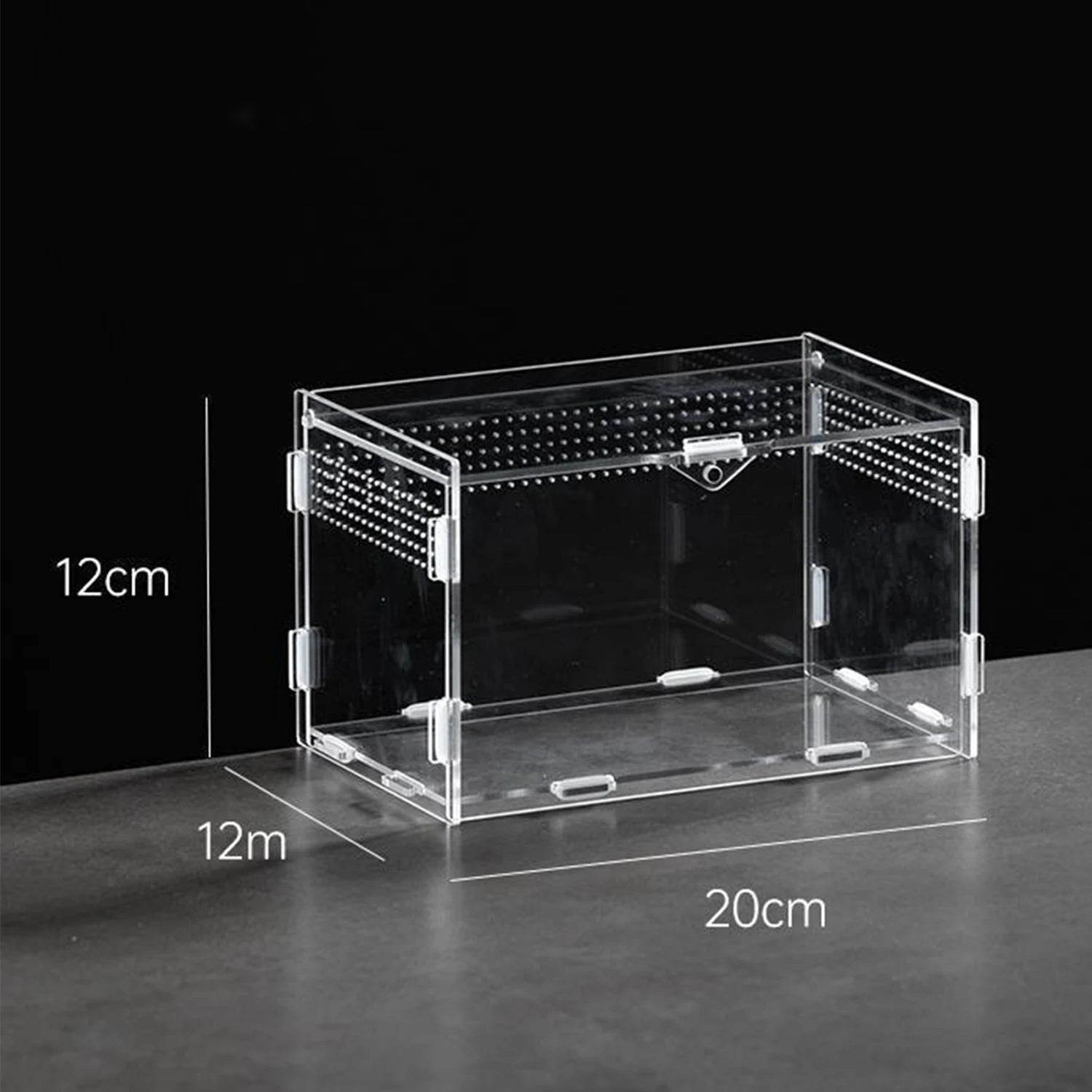 Enclos Tortue Juvénile