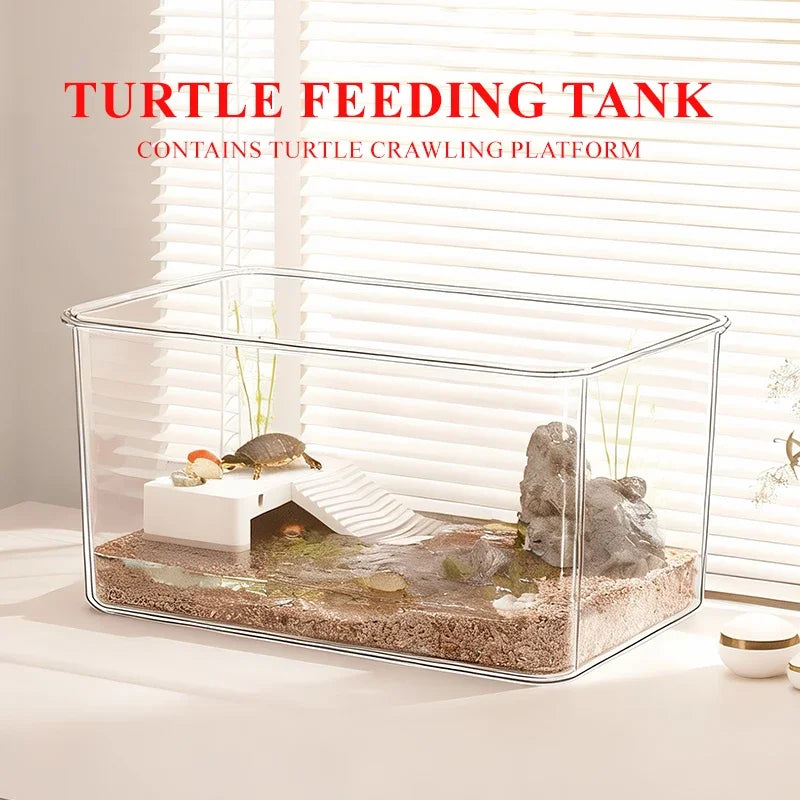 Enclos Pour Tortue Jardin