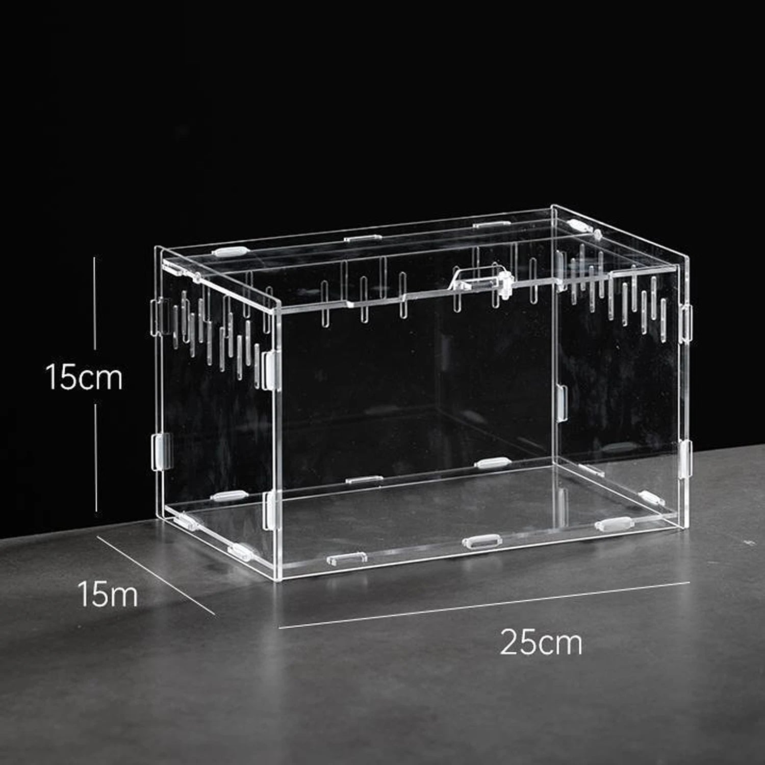 Enclos Tortue Juvénile