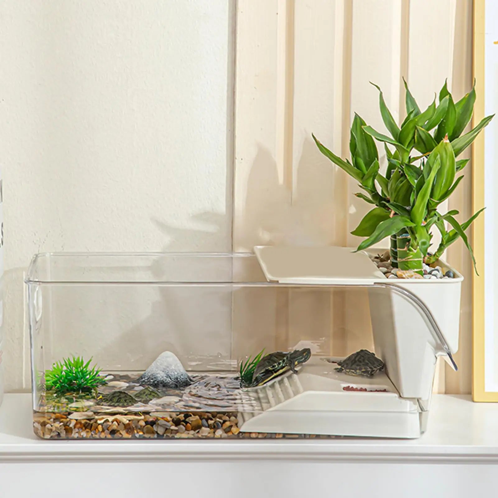 Enclos Tortue Temporaire