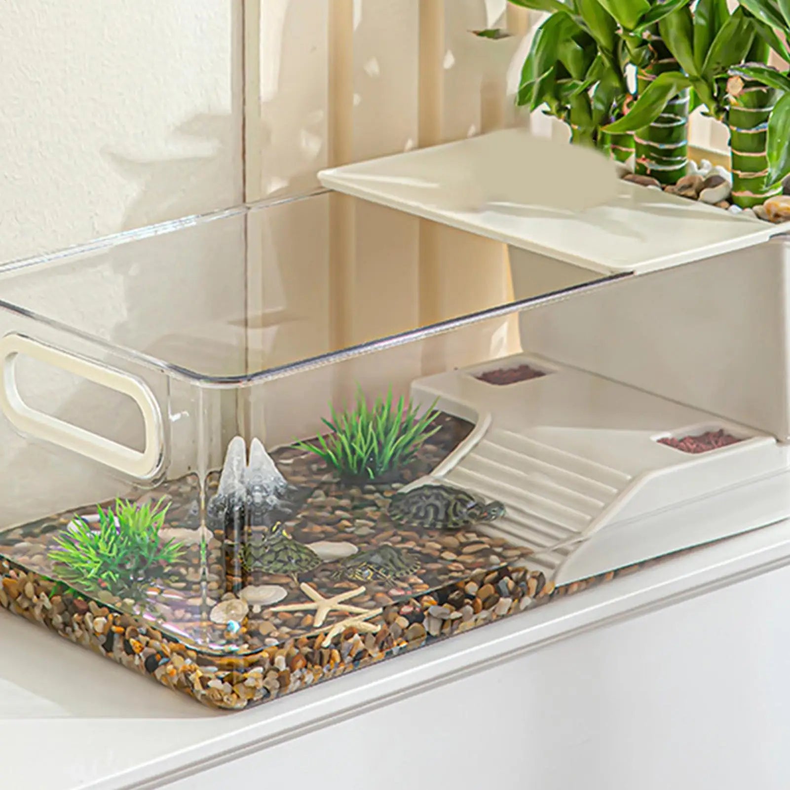 Enclos Tortue Temporaire