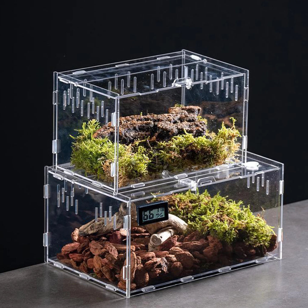 Enclos Tortue Juvénile