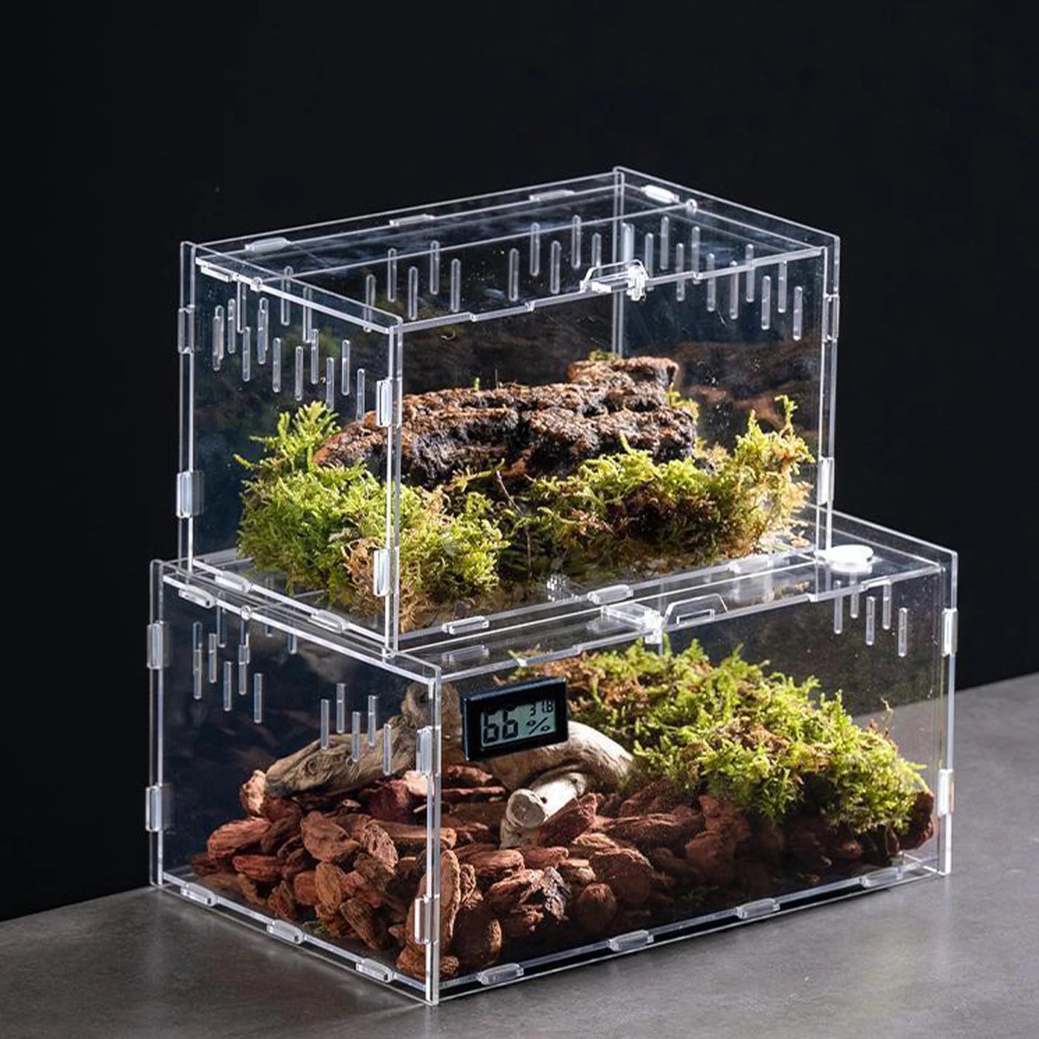 Enclos Tortue Juvénile