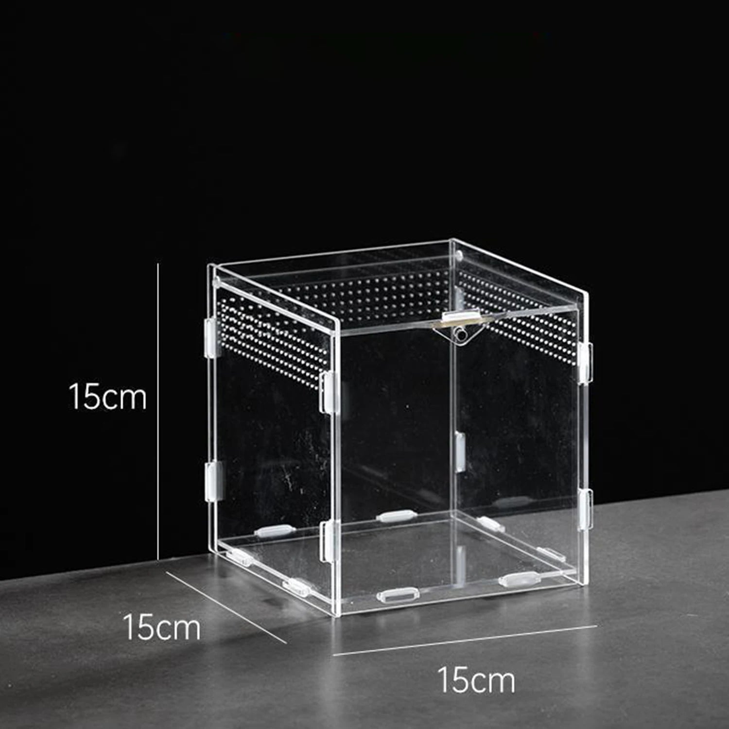 Enclos Tortue Juvénile